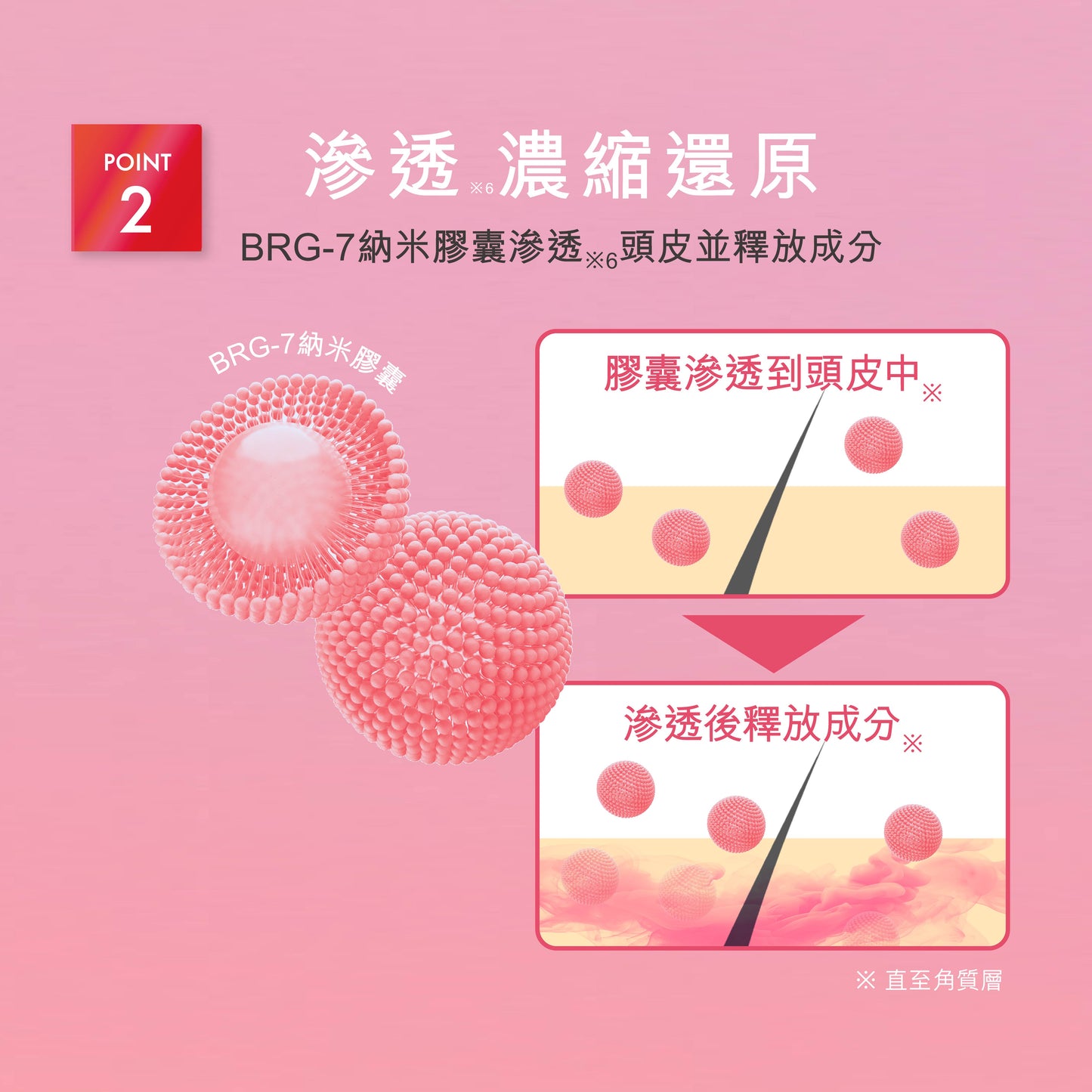 DR ZERO 根源賦能EX女士洗護+精華套裝